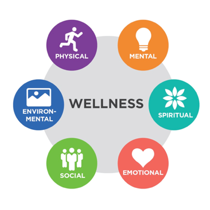 wellness & holistic medicine clinic