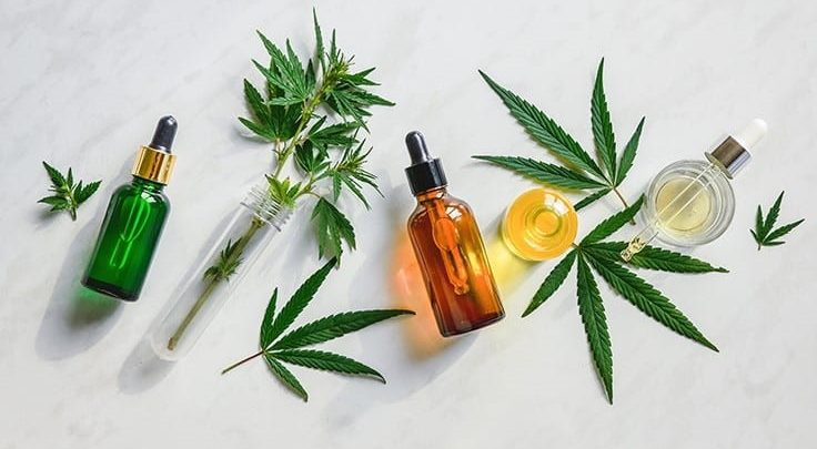A Quick Guide To The Use of CBD Oil