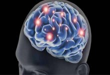 It is time to enjoy a better brain functionality