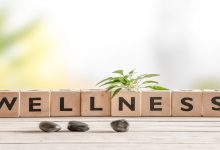 wellness & holistic medicine clinic