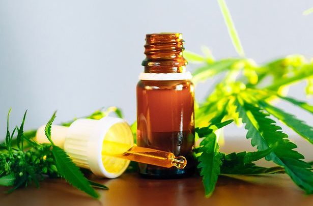 Benefits of Cannabidiol Oil – Cure the Mental and Physical Issues