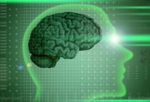 Increase the neurogenesis in your body as the anandamide is useful for the adults