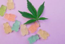 Amanita Mushroom Gummies: Myth or Medicine? Exploring its wellness potential