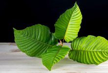 top rated kratom