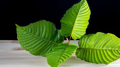 top rated kratom